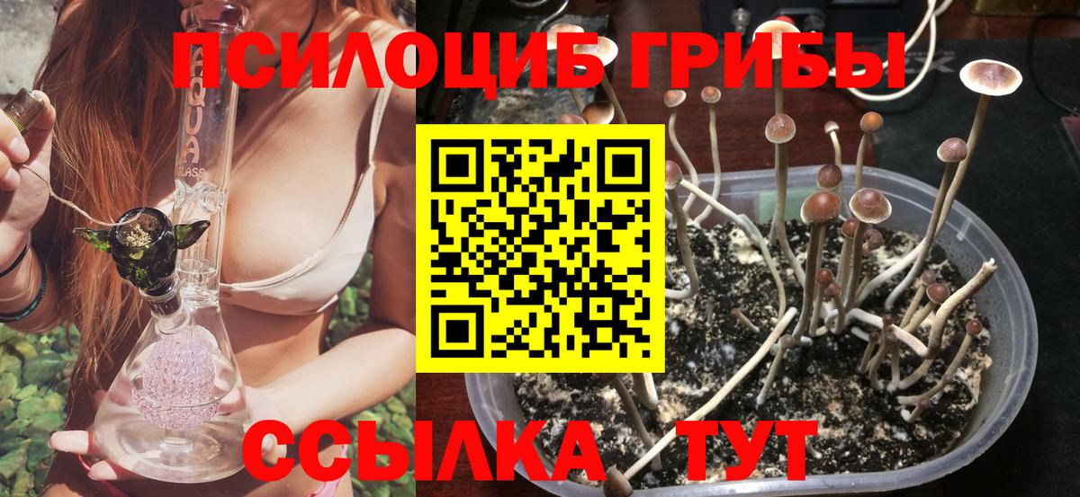 Галлюциногенные грибы мухоморы Назрань